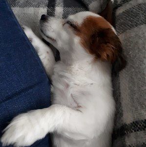 Meet your Posher, Brenda